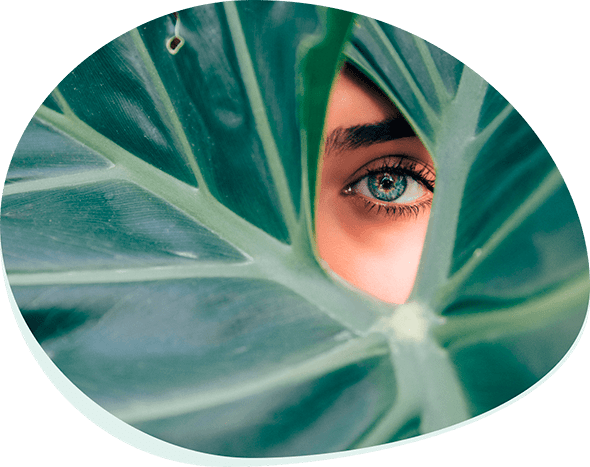 PLANTA – Ваше уютное и заботливое окружение